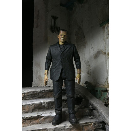 NECA - El Monstruo de Frankenstein en versión color - Universal Monsters