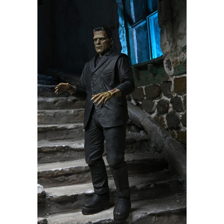 NECA - El Monstruo de Frankenstein en versión color - Universal Monsters
