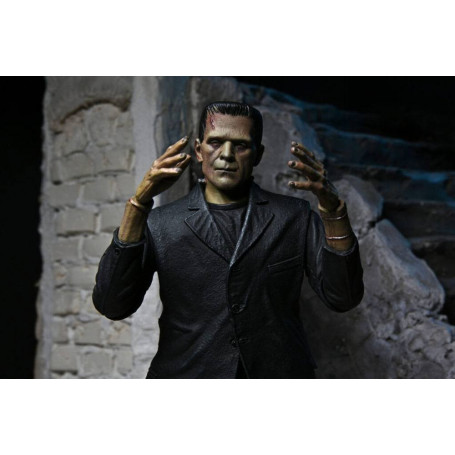 NECA - El Monstruo de Frankenstein en versión color - Universal Monsters