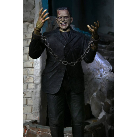 NECA - El Monstruo de Frankenstein en versión color - Universal Monsters