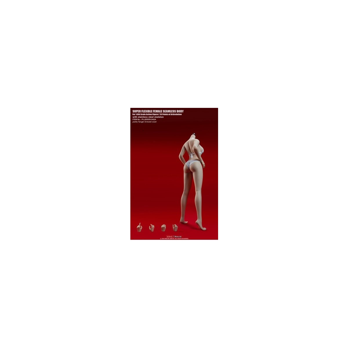Phicen - TBLeague 1/6 Escala Cuerpo Femenino Super-Flexible Sin Costuras - Jersey Blanco Pálido