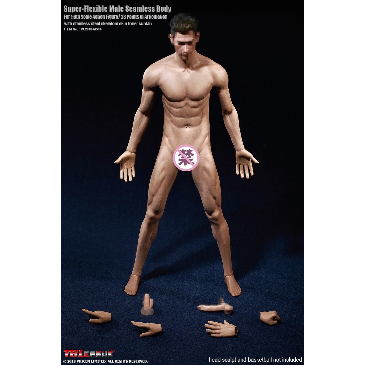 Phicen - TBLeague 1/6th Scale Super-Flexible Male Seamless Body - Medium Muscle Tan Body 
