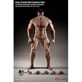 Phicen - TBLeague Cuerpo Masculino Superflexible a escala 1/6 sin costuras - Cuerpo bronceado Musculatura fuerte 