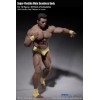 Phicen - TBLeague 1/6th Scale Super-Flexible Male Seamless Body - Very Tanned Body