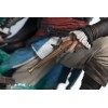 Pure Arts - Edward Kenway 1/4 Animus - Estatuilla de Assassin's Creed