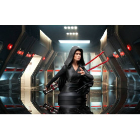 Gentle Giant - Star Wars Episodio IX - busto de Darth Rey 1/6 - Exclusivo NYCC 2021