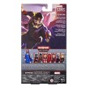 Hasbro Marvel Legends - T'CHALLA STAR-LORD - ¿Y si...?