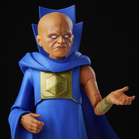Hasbro Marvel Legends - T'CHALLA STAR-LORD - ¿Y si...?