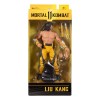 McFarlane Mortal Kombat XI - Piel de Liu Kang Fighting Abbott