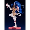 Kotobukiya Darkstalkers Bishoujo Estatuilla de PVC 1/7 Felicia