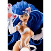 Kotobukiya Darkstalkers Bishoujo Estatuilla de PVC 1/7 Felicia