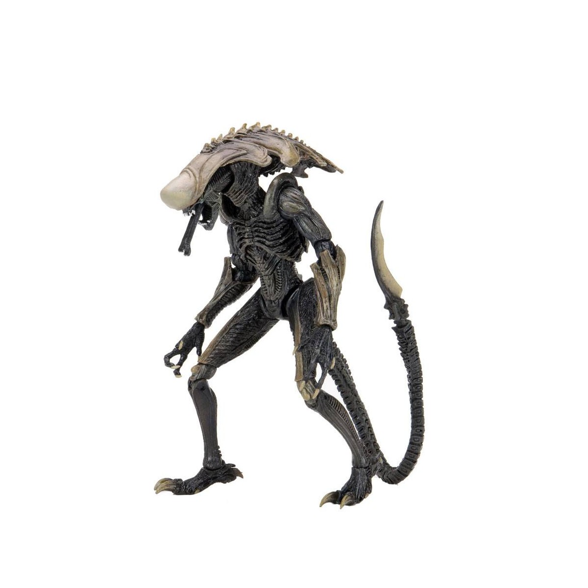 Neca Alien vs Predator - Alien Realistic Appearance - Set completo de 3 figuras