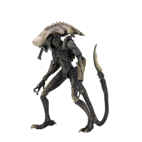 Neca Alien vs Predator - Alien Realistic Appearance - Set completo de 3 figuras
