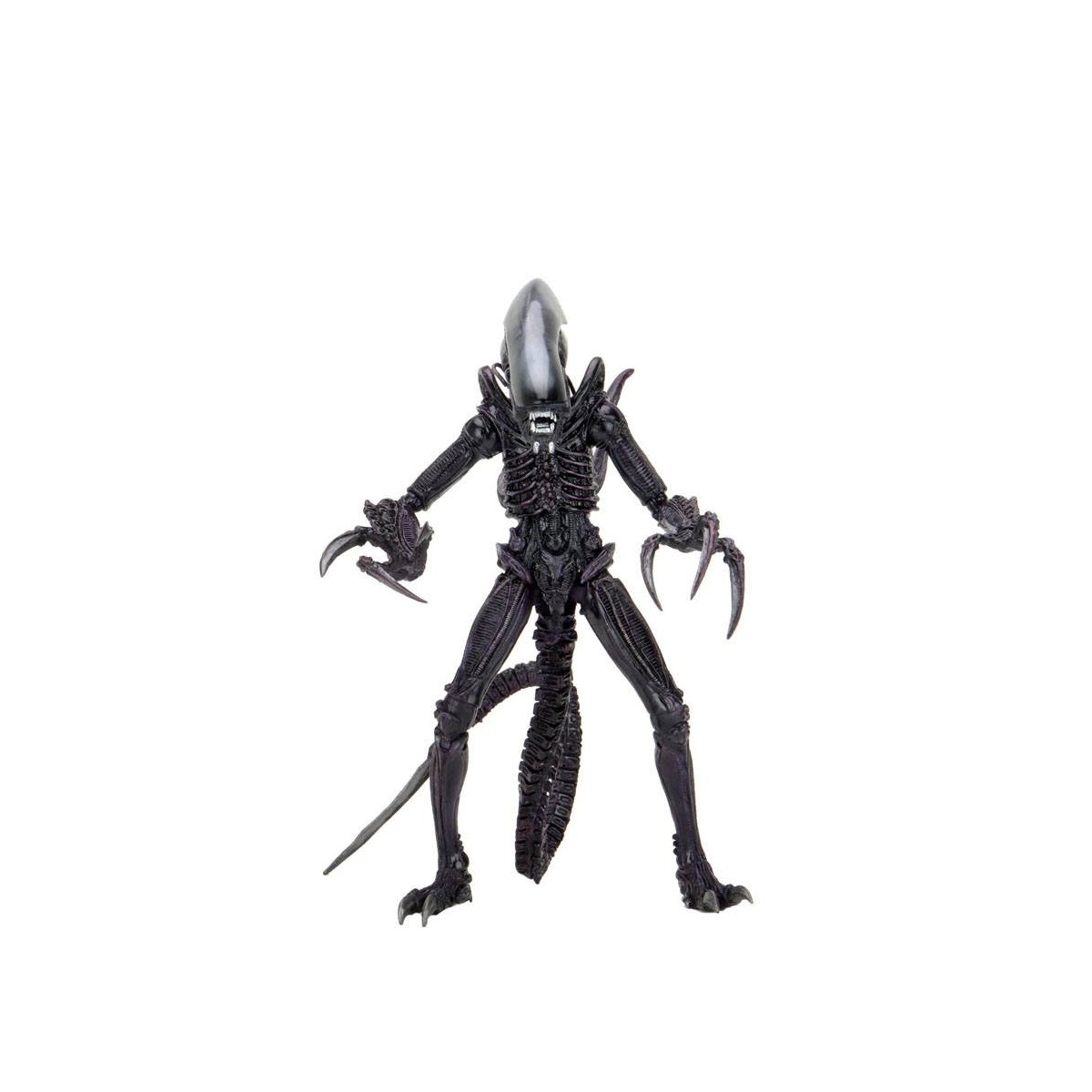 Neca Alien vs Predator - Alien Realistic Appearance - Set completo de 3 figuras