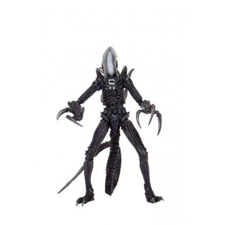 Neca Alien vs Predator - Alien Realistic Appearance - Set completo de 3 figuras