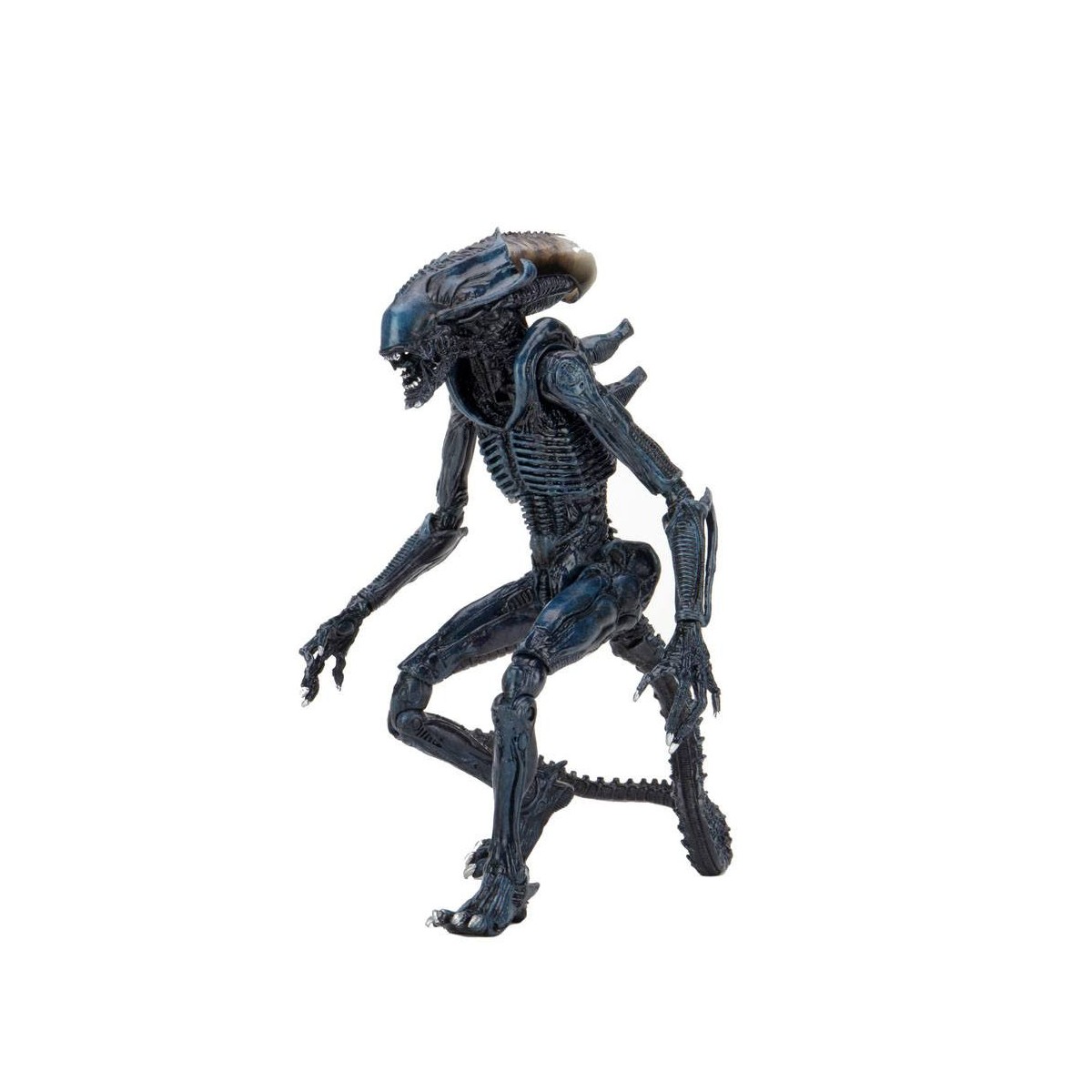 Neca Alien vs Predator - Alien Realistic Appearance - Set completo de 3 figuras