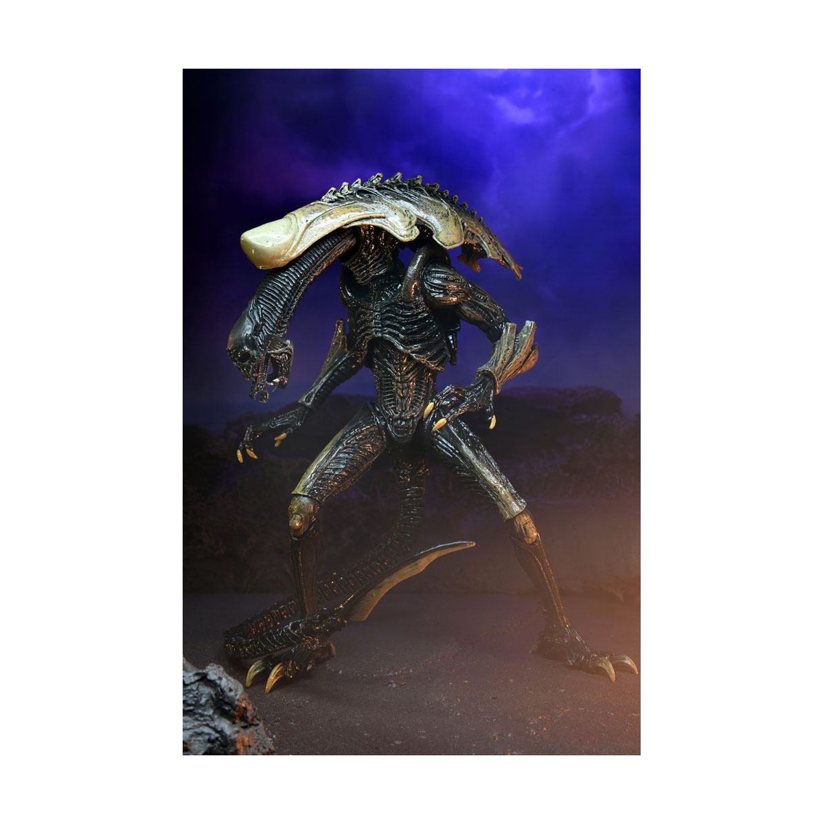 Neca Alien vs Predator - Alien Realistic Appearance - Set completo de 3 figuras