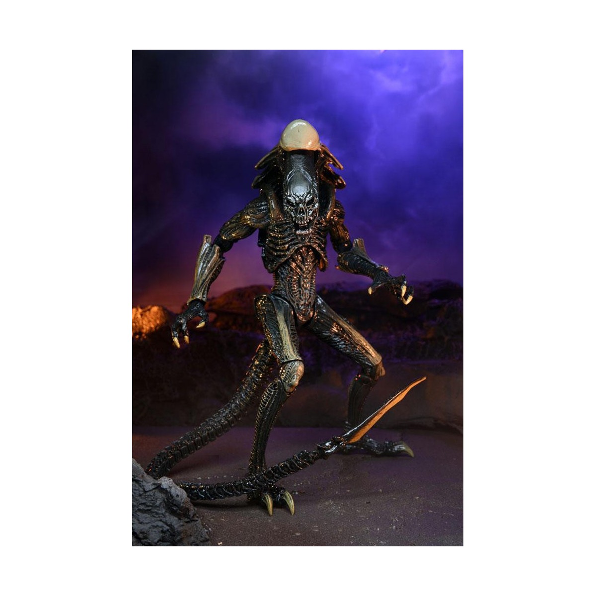 Neca Alien vs Predator - Alien Realistic Appearance - Set completo de 3 figuras