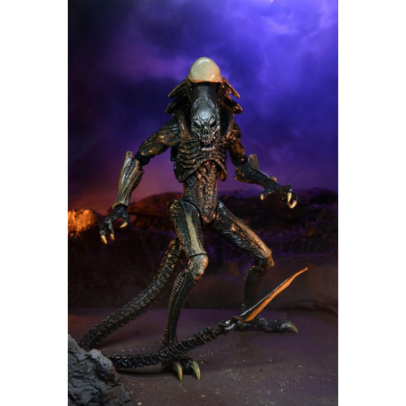 Neca Alien vs Predator - Alien Realistic Appearance - Set completo de 3 figuras