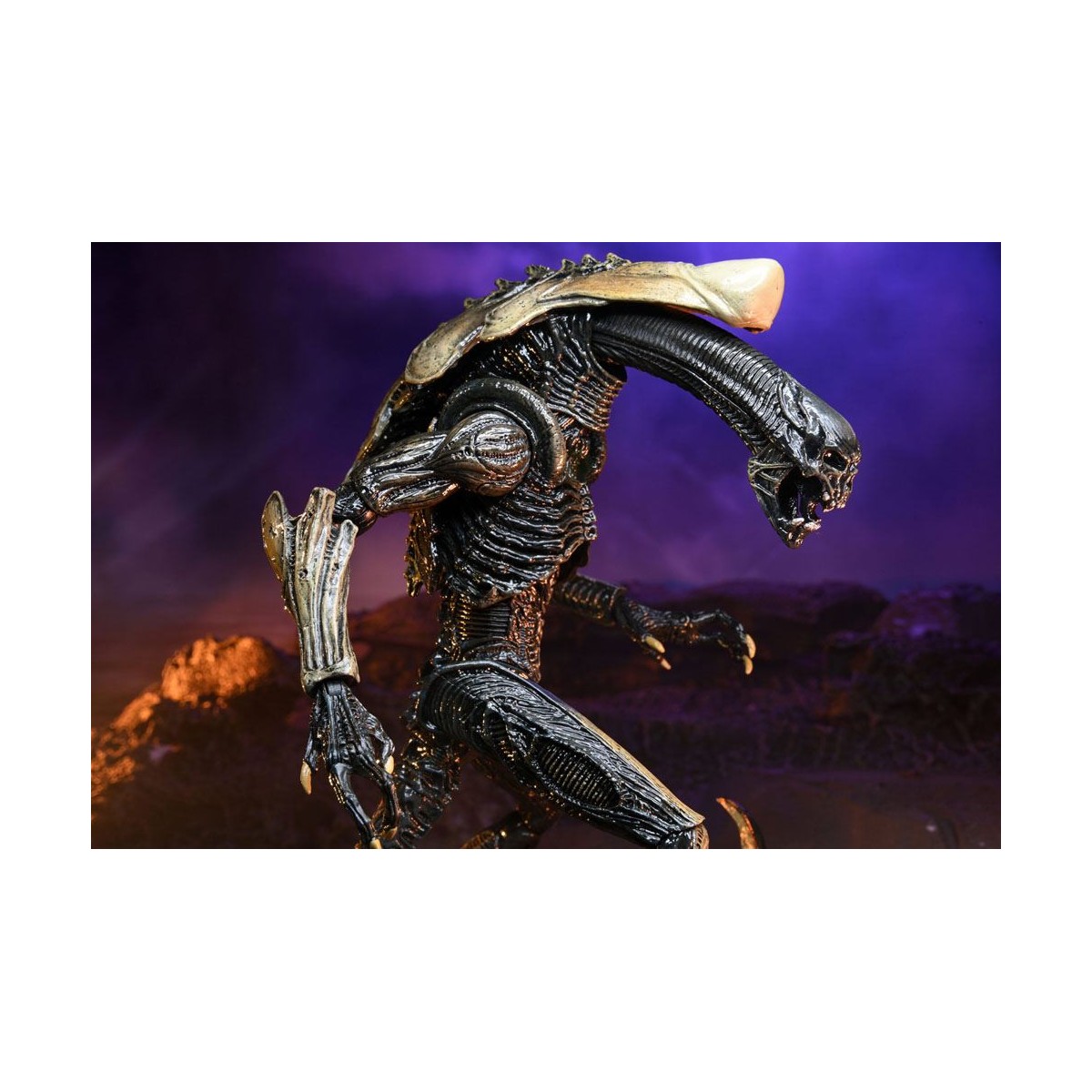 Neca Alien vs Predator - Alien Realistic Appearance - Set completo de 3 figuras