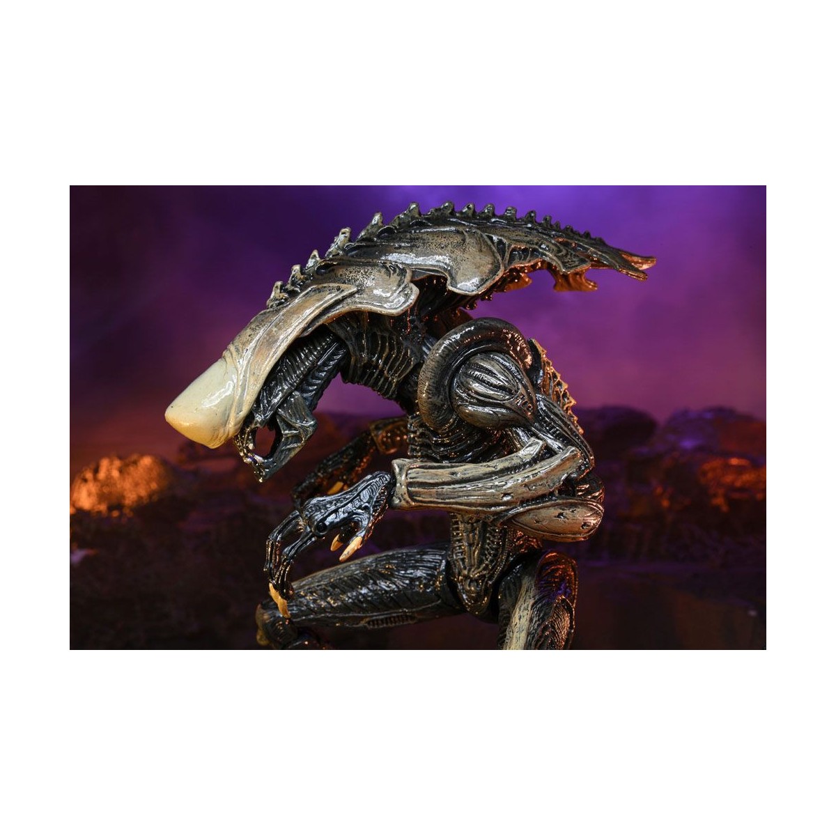 Neca Alien vs Predator - Alien Realistic Appearance - Set completo de 3 figuras