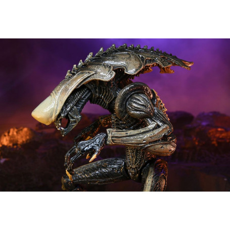 Neca Alien vs Predator - Alien Realistic Appearance - Set completo de 3 figuras