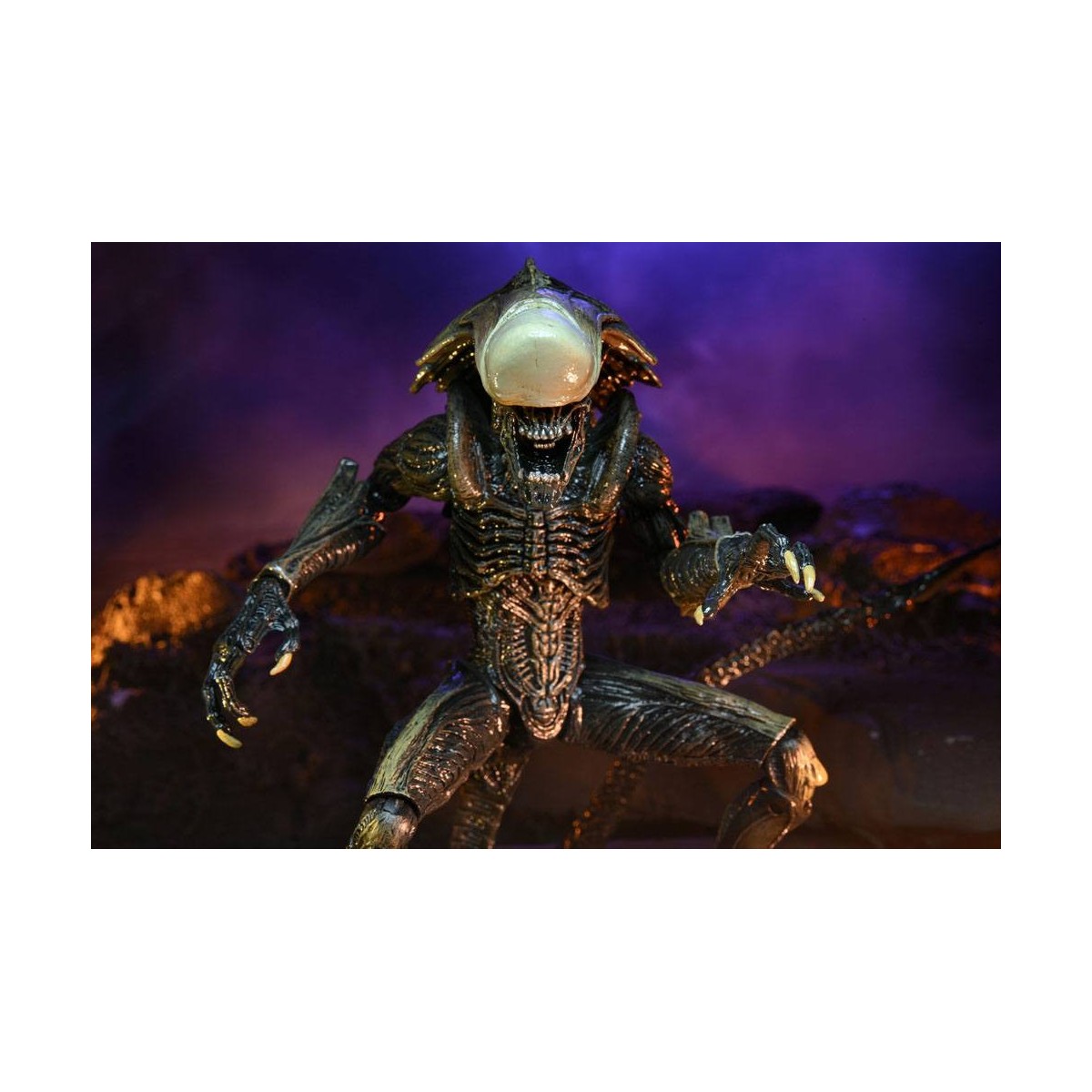 Neca Alien vs Predator - Alien Realistic Appearance - Set completo de 3 figuras