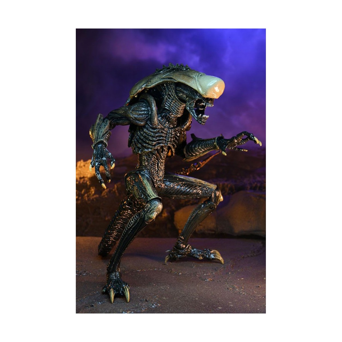 Neca Alien vs Predator - Alien Realistic Appearance - Set completo de 3 figuras