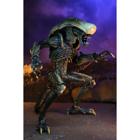 Neca Alien vs Predator - Alien Realistic Appearance - Set completo de 3 figuras