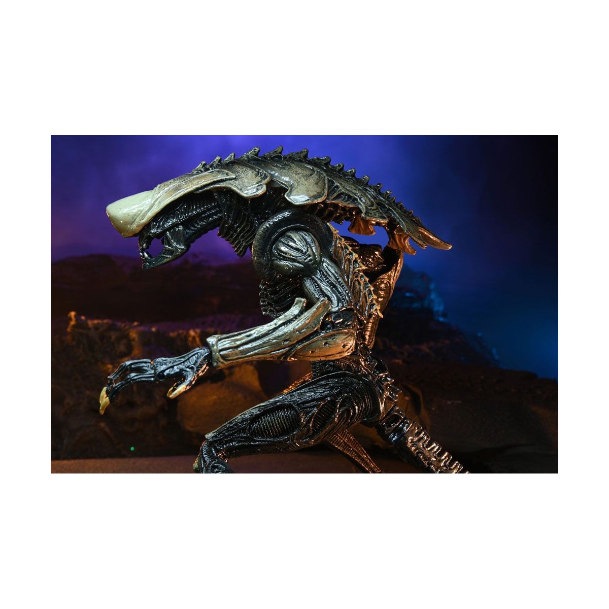 Neca Alien vs Predator - Alien Realistic Appearance - Set completo de 3 figuras