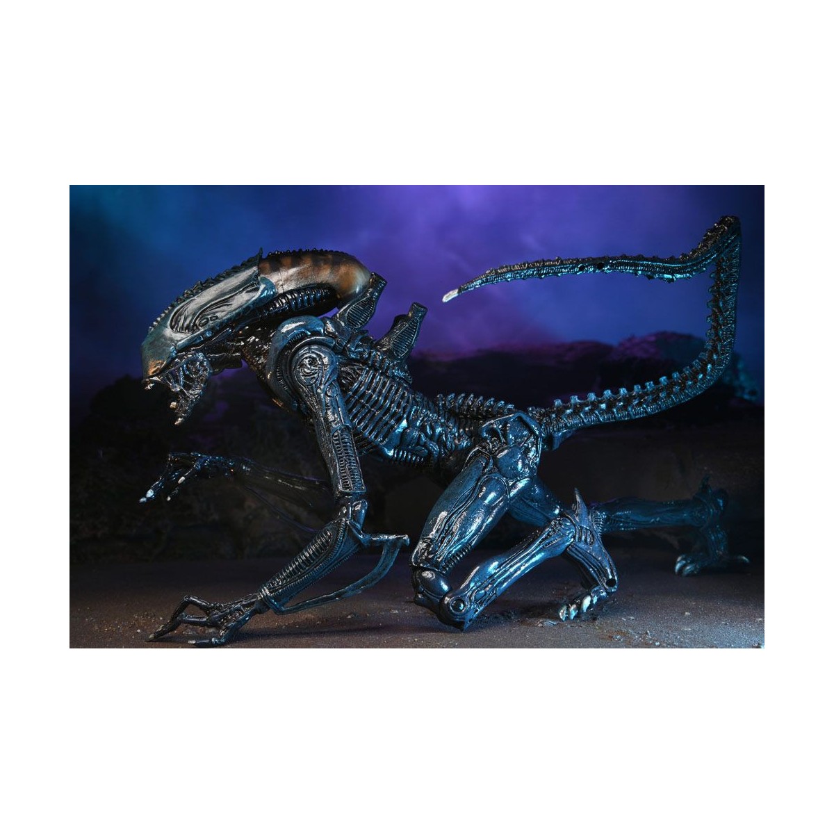 Neca Alien vs Predator - Alien Realistic Appearance - Set completo de 3 figuras