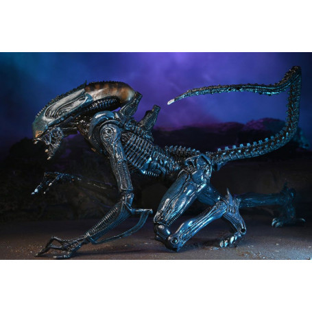Neca Alien vs Predator - Alien Realistic Appearance - Set completo de 3 figuras
