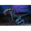 Neca Alien vs Predator - Alien Realistic Appearance - Set completo de 3 figuras