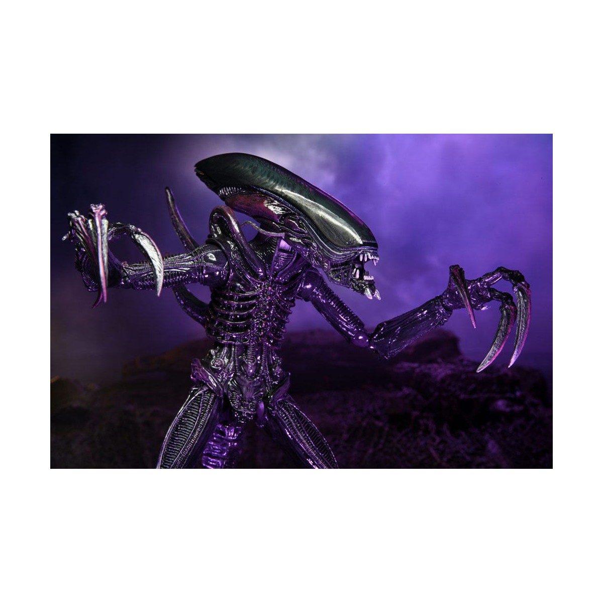 Neca Alien vs Predator - Alien Realistic Appearance - Set completo de 3 figuras