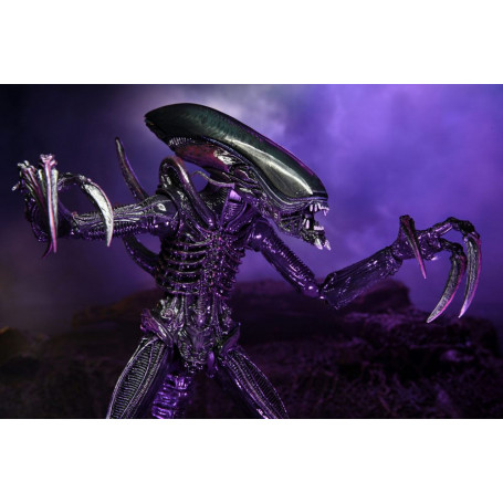 Neca Alien vs Predator - Alien Realistic Appearance - Set completo de 3 figuras