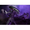Neca Alien vs Predator - Alien Realistic Appearance - Set completo de 3 figuras