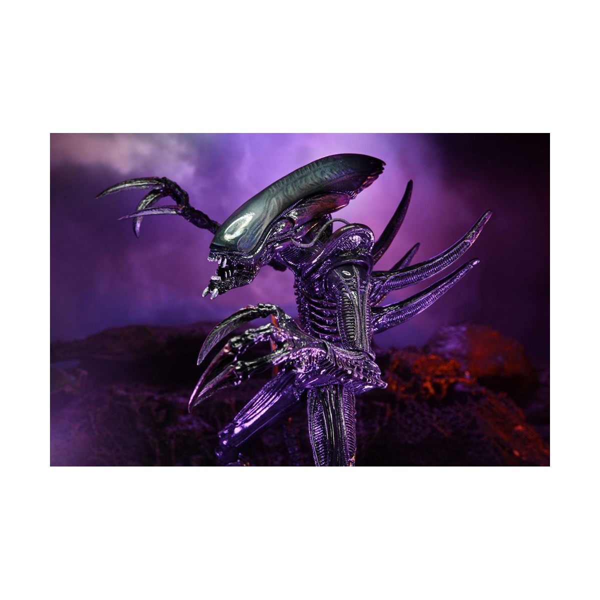 Neca Alien vs Predator - Alien Realistic Appearance - Set completo de 3 figuras