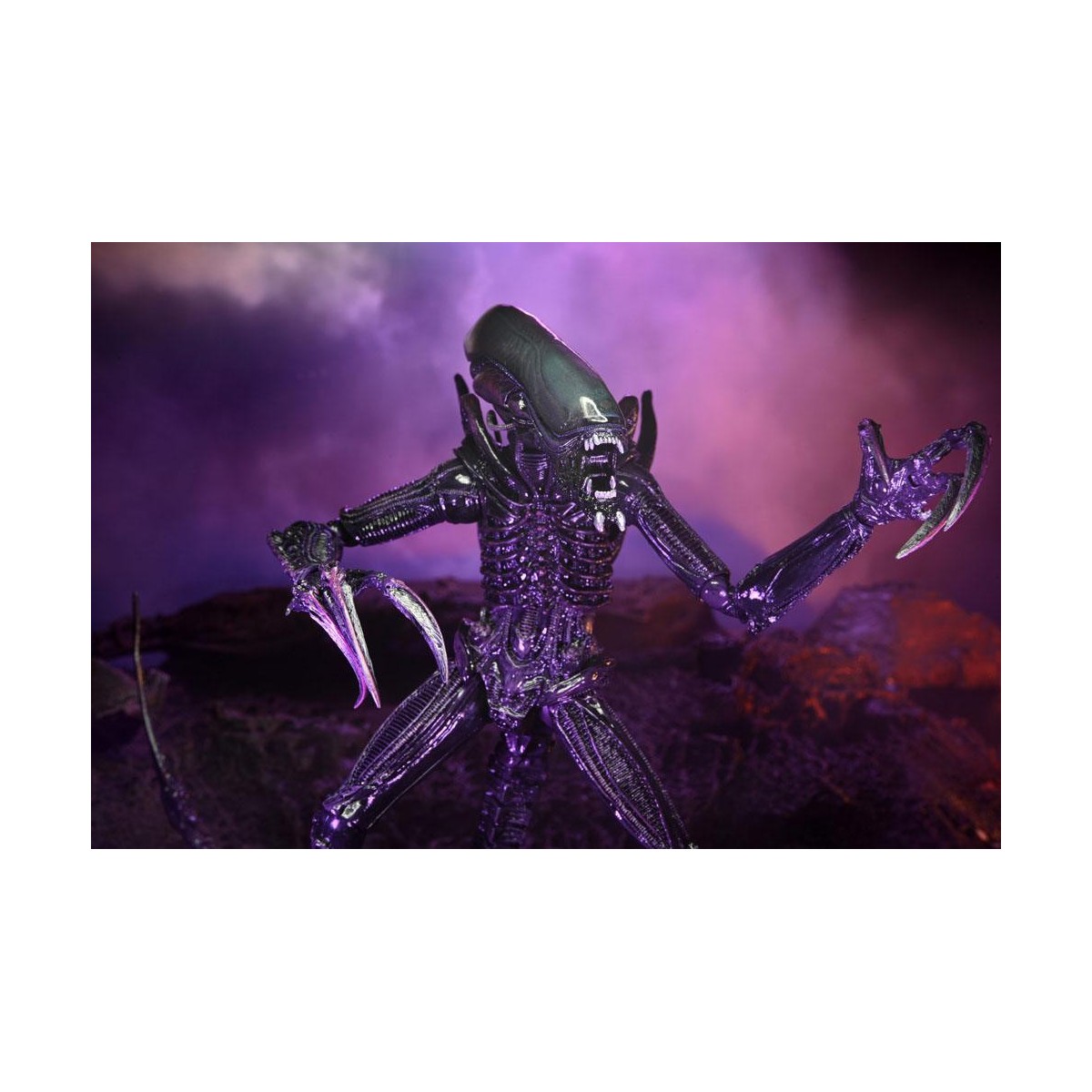 Neca Alien vs Predator - Alien Realistic Appearance - Set completo de 3 figuras