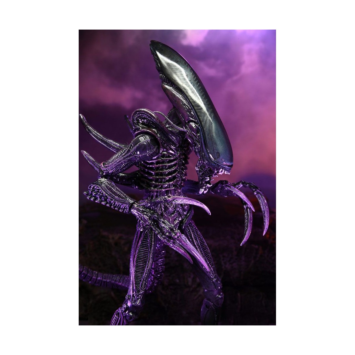 Neca Alien vs Predator - Alien Realistic Appearance - Set completo de 3 figuras