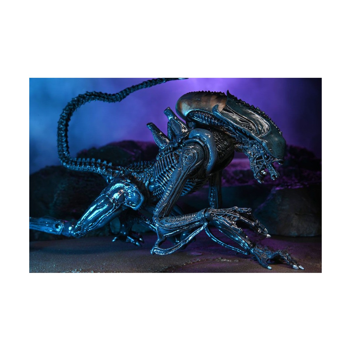 Neca Alien vs Predator - Alien Realistic Appearance - Set completo de 3 figuras