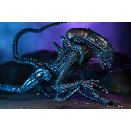 Neca Alien vs Predator - Alien Realistic Appearance - Set completo de 3 figuras