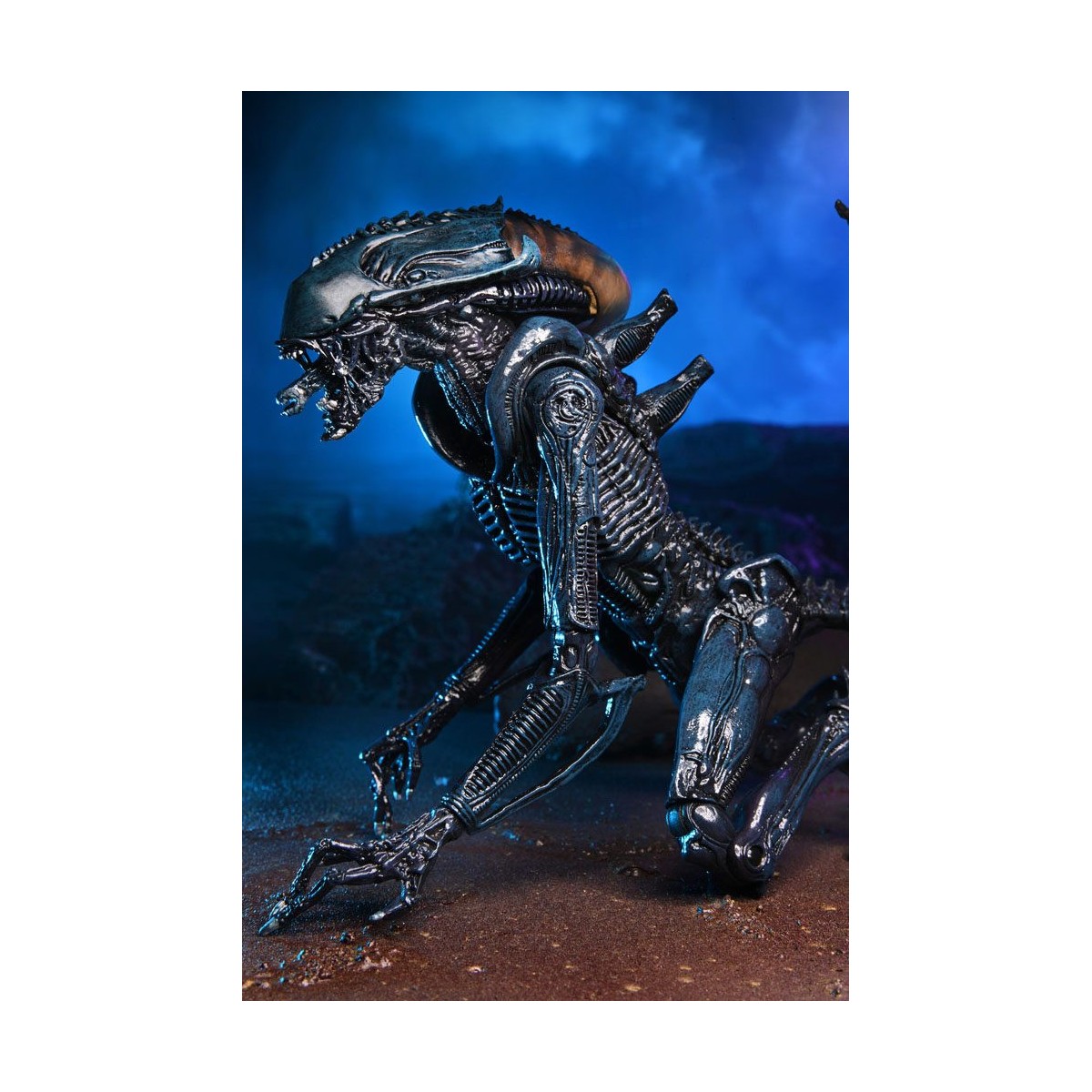 Neca Alien vs Predator - Alien Realistic Appearance - Set completo de 3 figuras