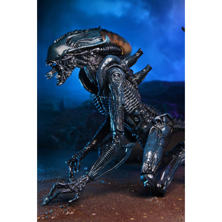 Neca Alien vs Predator - Alien Realistic Appearance - Set completo de 3 figuras