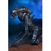 Neca Alien vs Predator - Alien Realistic Appearance - Set completo de 3 figuras