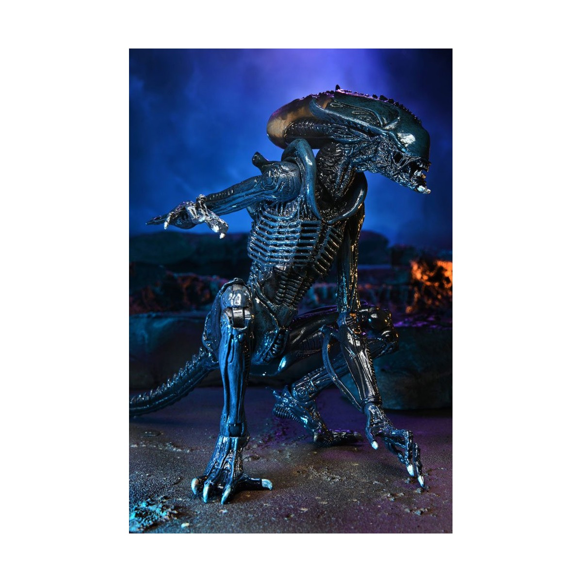 Neca Alien vs Predator - Alien Realistic Appearance - Set completo de 3 figuras