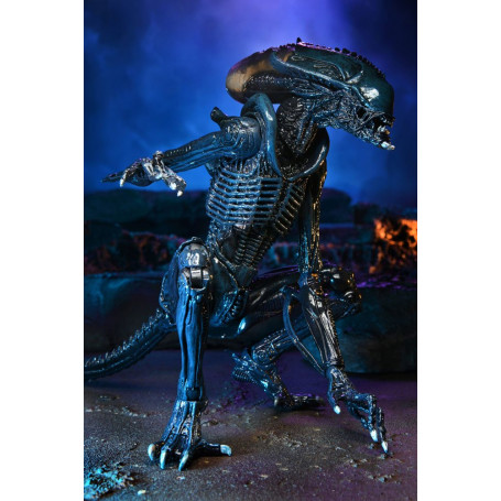 Neca Alien vs Predator - Alien Realistic Appearance - Set completo de 3 figuras