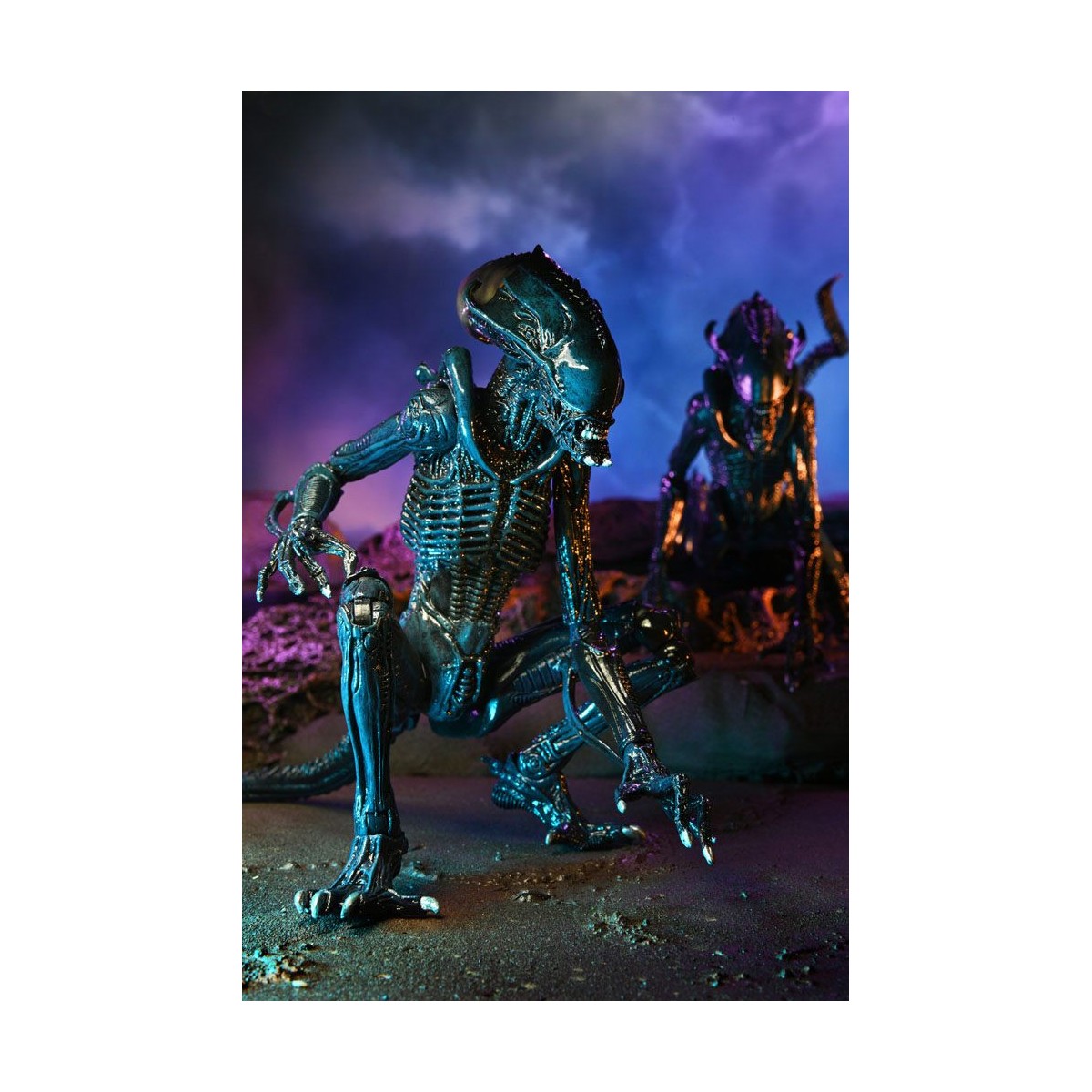 Neca Alien vs Predator - Alien Realistic Appearance - Set completo de 3 figuras