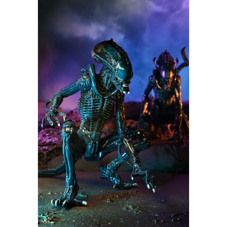 Neca Alien vs Predator - Alien Realistic Appearance - Set completo de 3 figuras