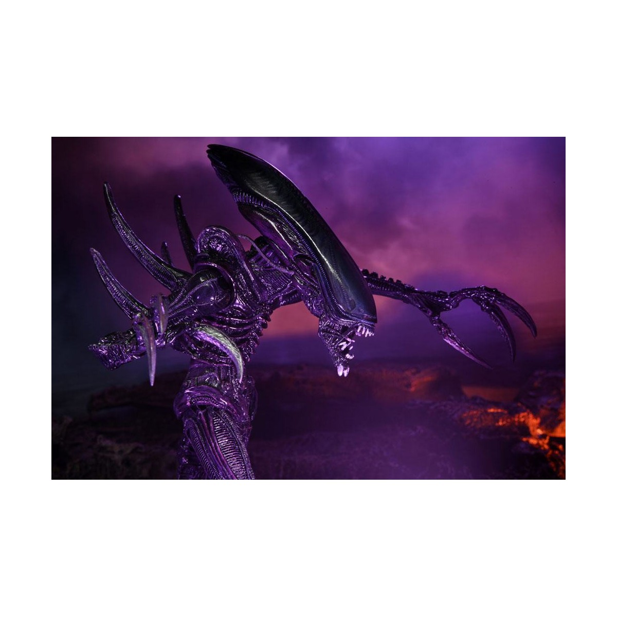 Neca Alien vs Predator - Alien Realistic Appearance - Set completo de 3 figuras
