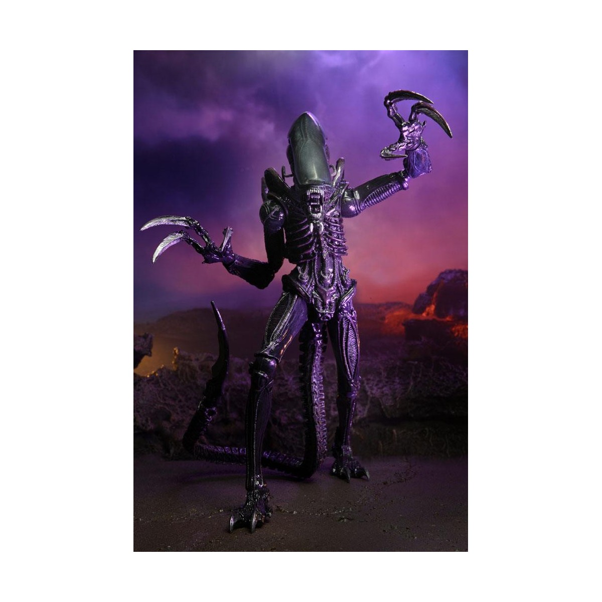 Neca Alien vs Predator - Alien Realistic Appearance - Set completo de 3 figuras